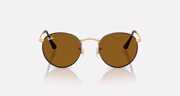 RAYBAN ROUND METAL Sunglasses in Matte Havana