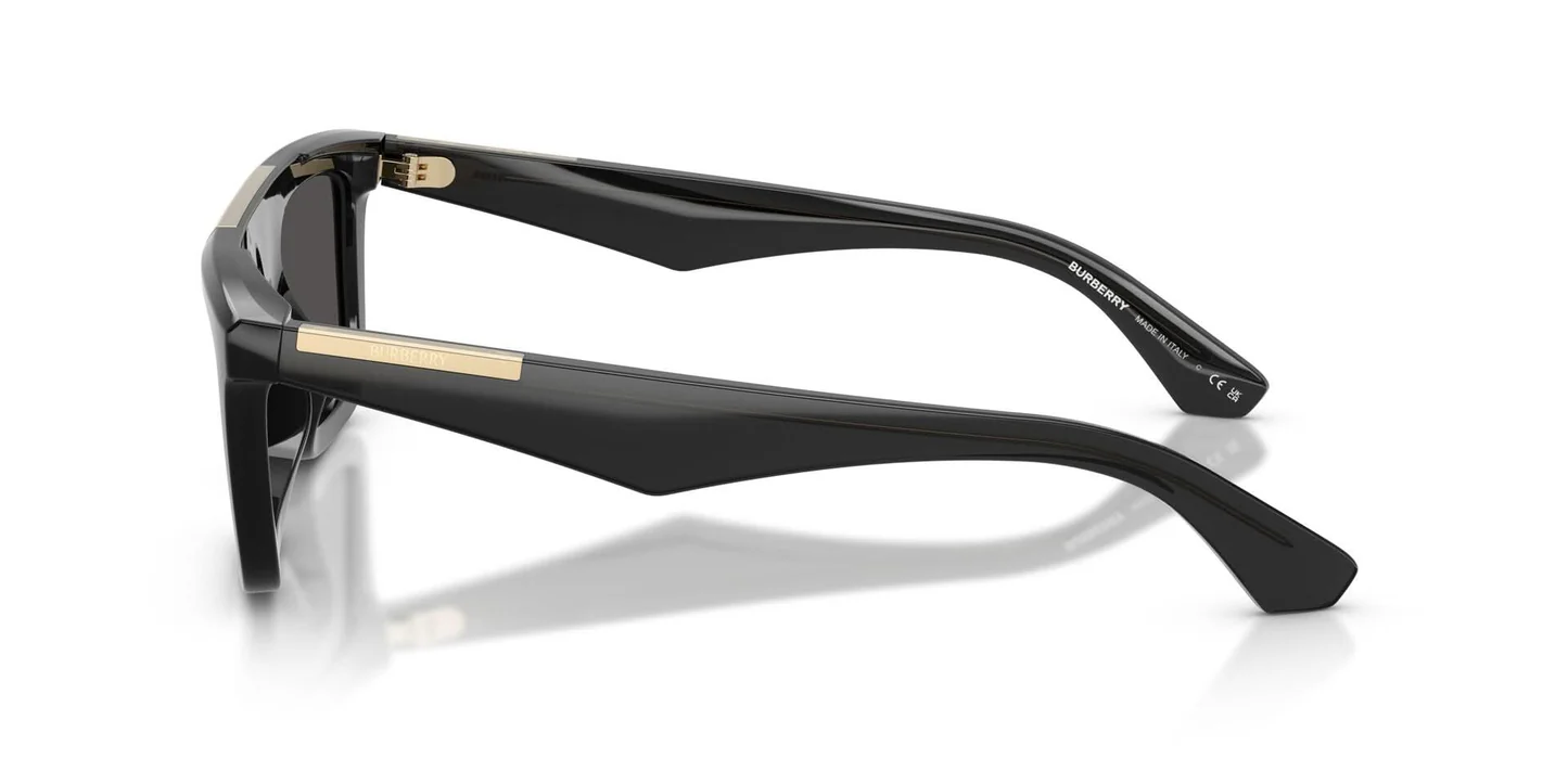 New BURBERRY SUNGLASSES