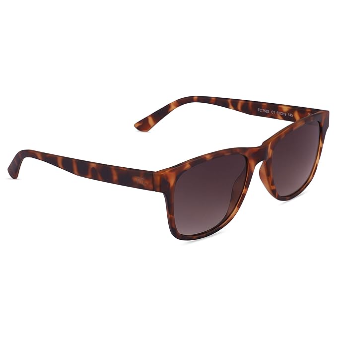 FCUK French Connection Gradient Wayfarer Men's Sunglasses - (FC 7582 C1 53|53|Green Color Lens)
